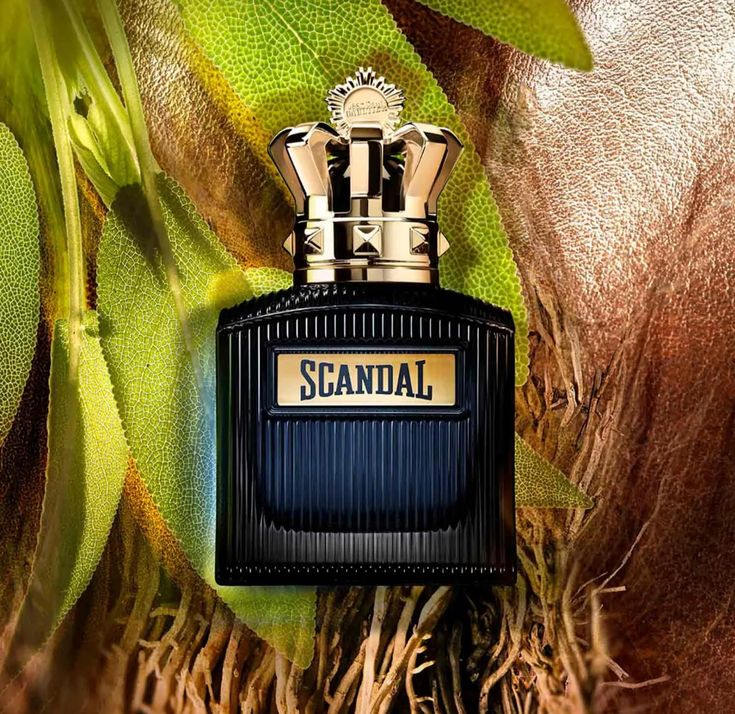 Jean Paul Gaultier Scandal Pour Homme Intense 2025: Short Professional Review